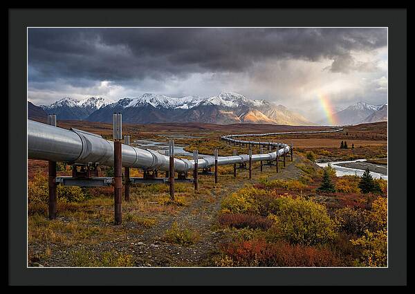 Trans Alaska Pipeline Serenity