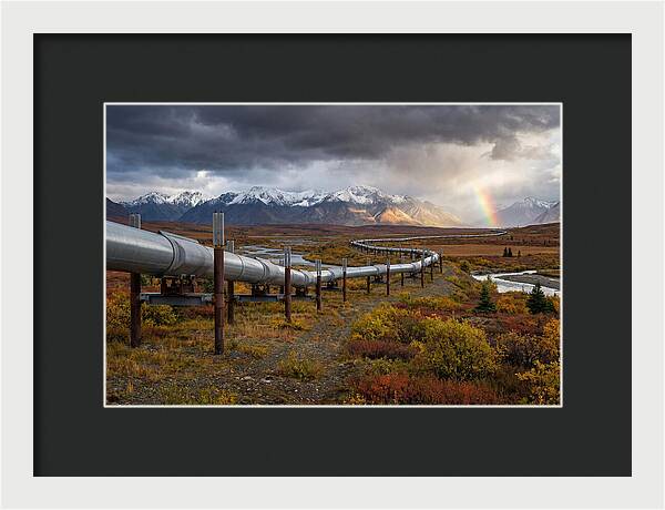 Trans Alaska Pipeline Serenity