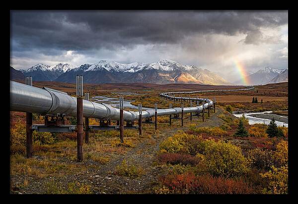 Trans Alaska Pipeline Serenity