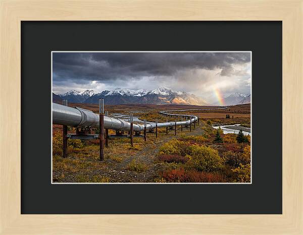 Trans Alaska Pipeline Serenity