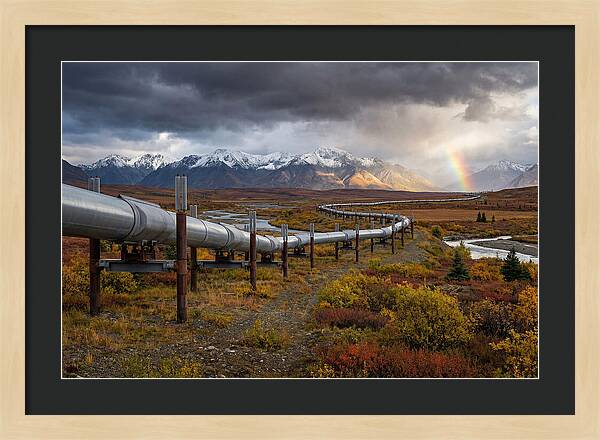 Trans Alaska Pipeline Serenity
