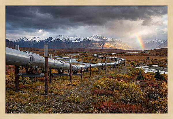 Trans Alaska Pipeline Serenity