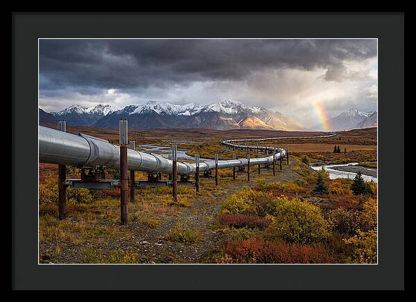 Trans Alaska Pipeline Serenity