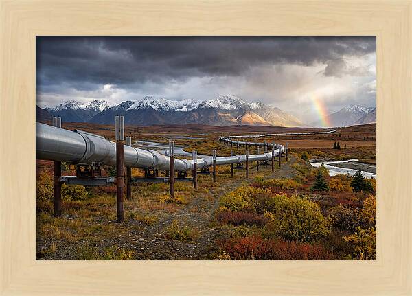 Trans Alaska Pipeline Serenity