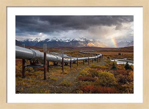 Trans Alaska Pipeline Serenity