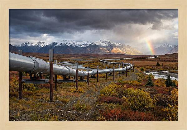 Trans Alaska Pipeline Serenity