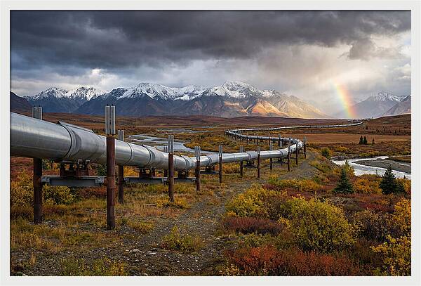 Trans Alaska Pipeline Serenity
