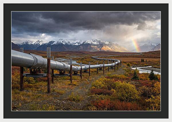 Trans Alaska Pipeline Serenity