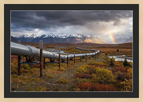 Trans Alaska Pipeline Serenity