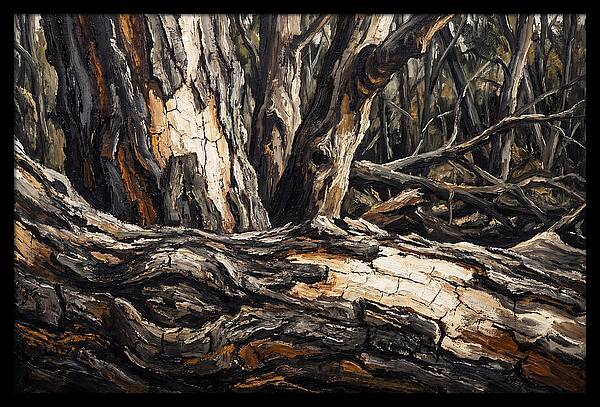 Tree Bark Patterns