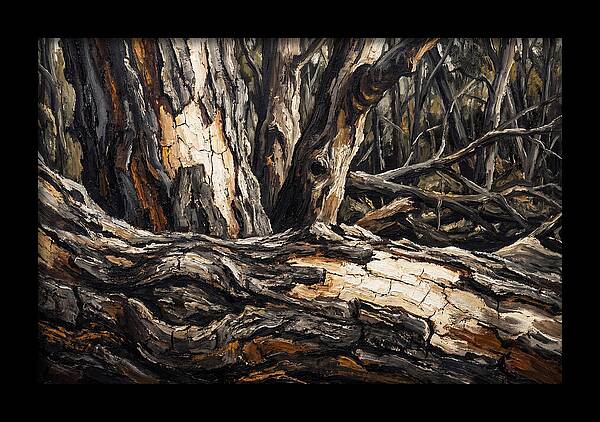 Tree Bark Patterns