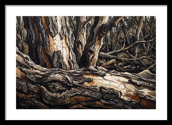Tree Bark Patterns