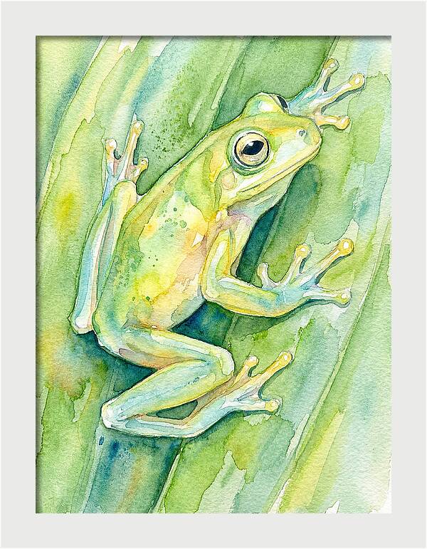 Tree Frog Among Green Leaves