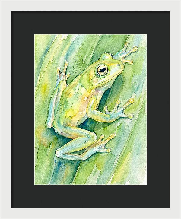 Tree Frog Among Green Leaves