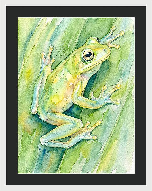Tree Frog Among Green Leaves
