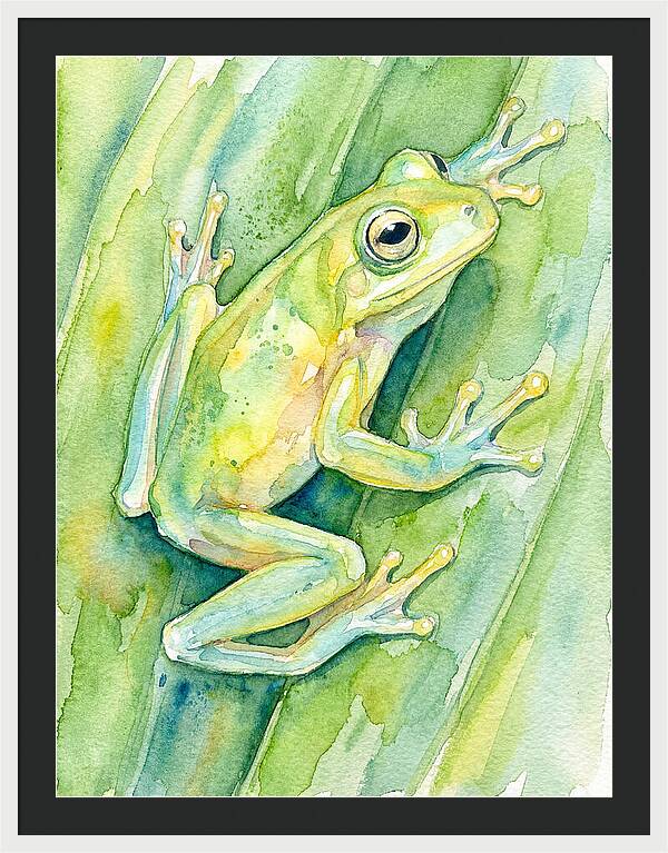 Tree Frog Among Green Leaves