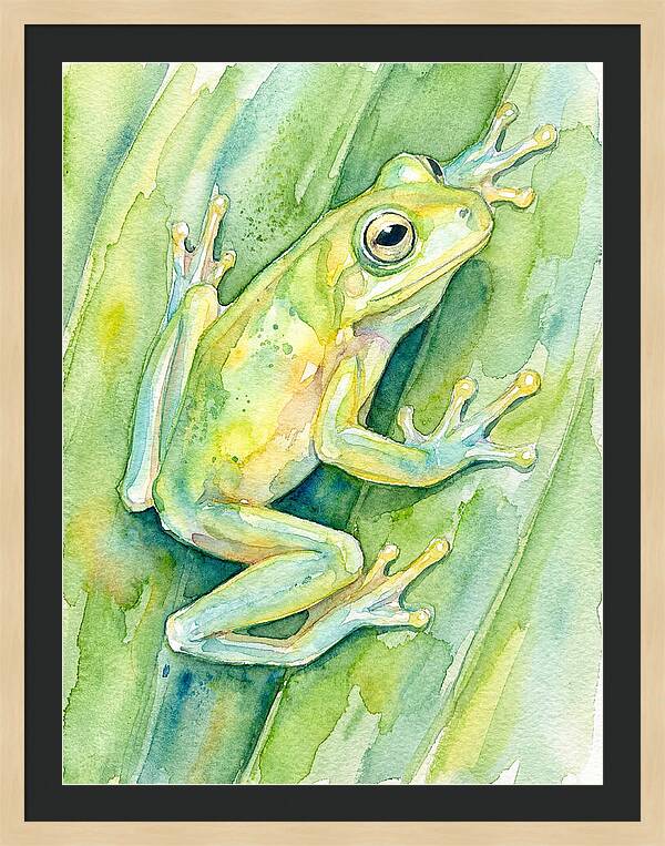 Tree Frog Among Green Leaves