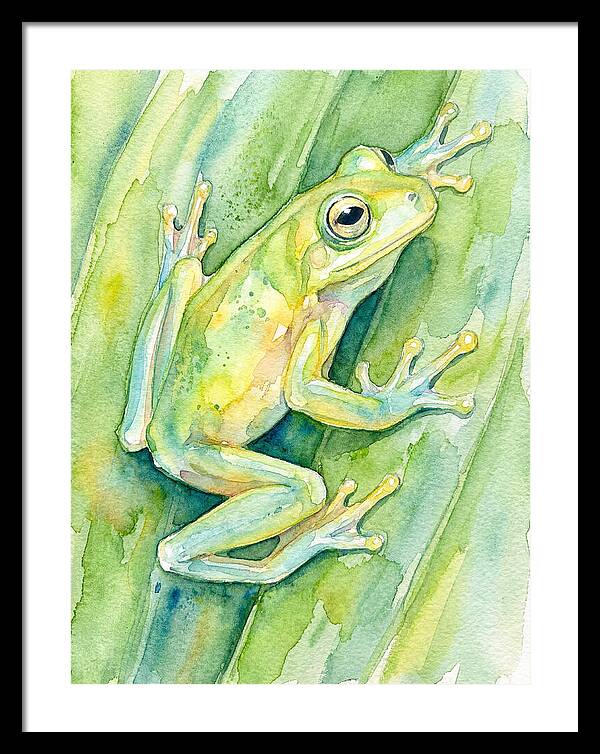 Tree Frog Among Green Leaves