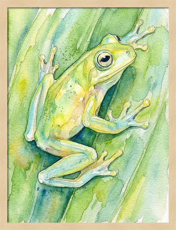 Tree Frog Among Green Leaves