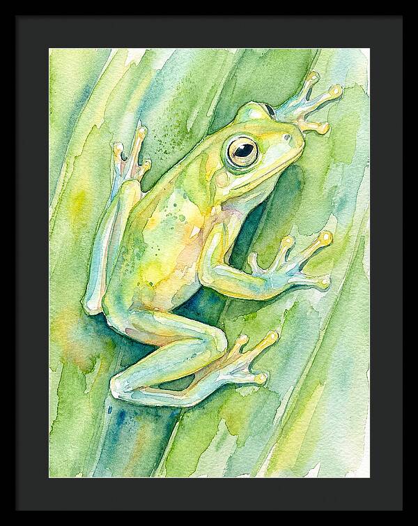 Tree Frog Among Green Leaves