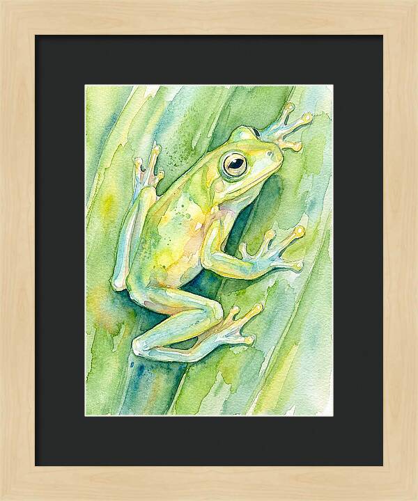 Tree Frog Among Green Leaves