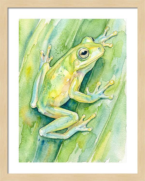 Tree Frog Among Green Leaves