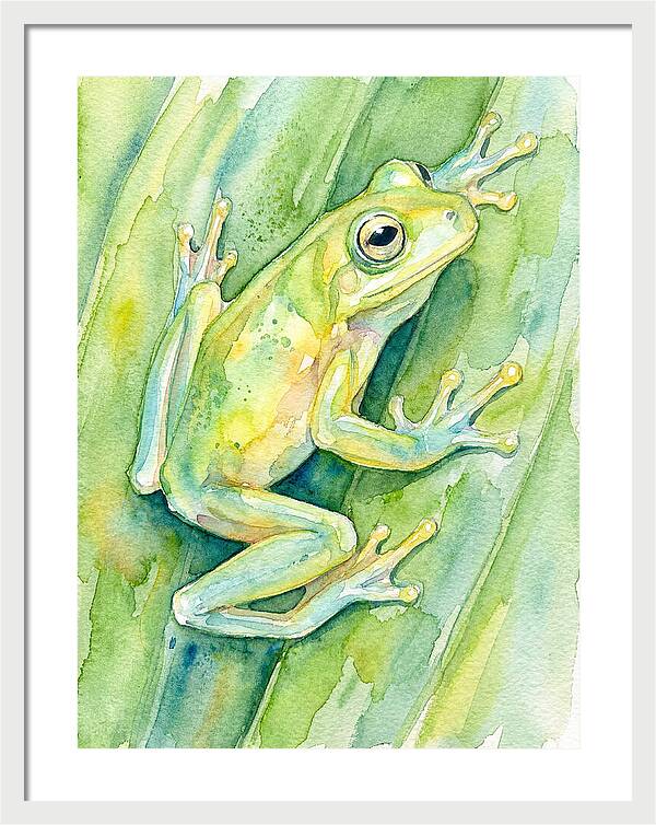 Tree Frog Among Green Leaves