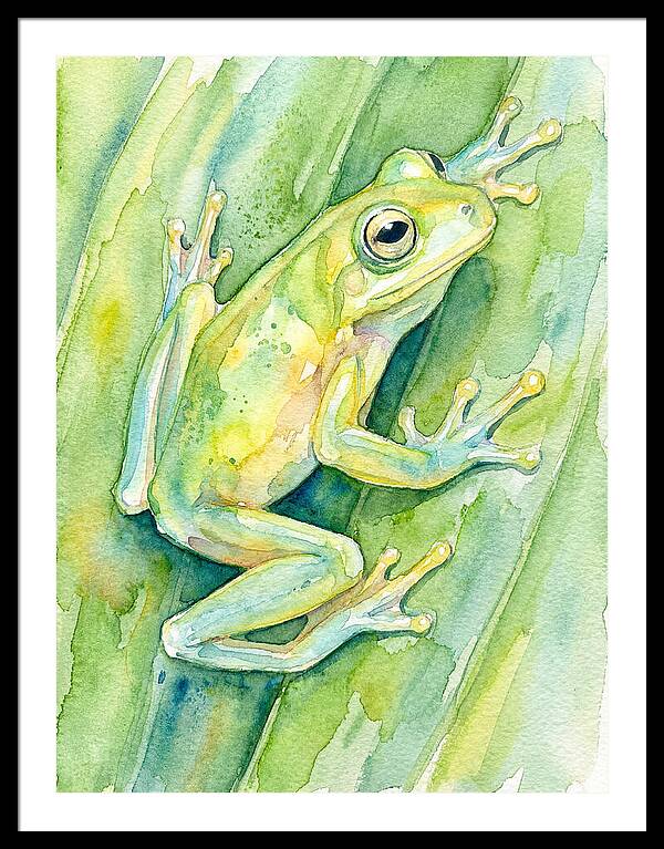 Tree Frog Among Green Leaves
