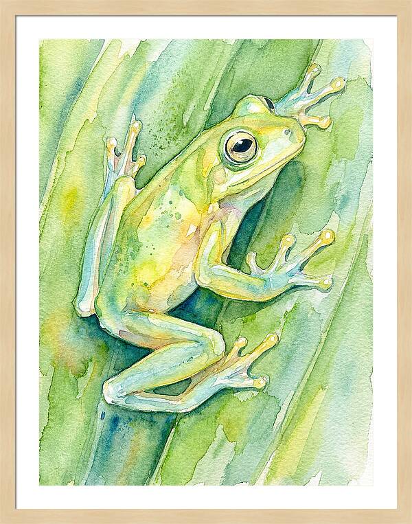 Tree Frog Among Green Leaves