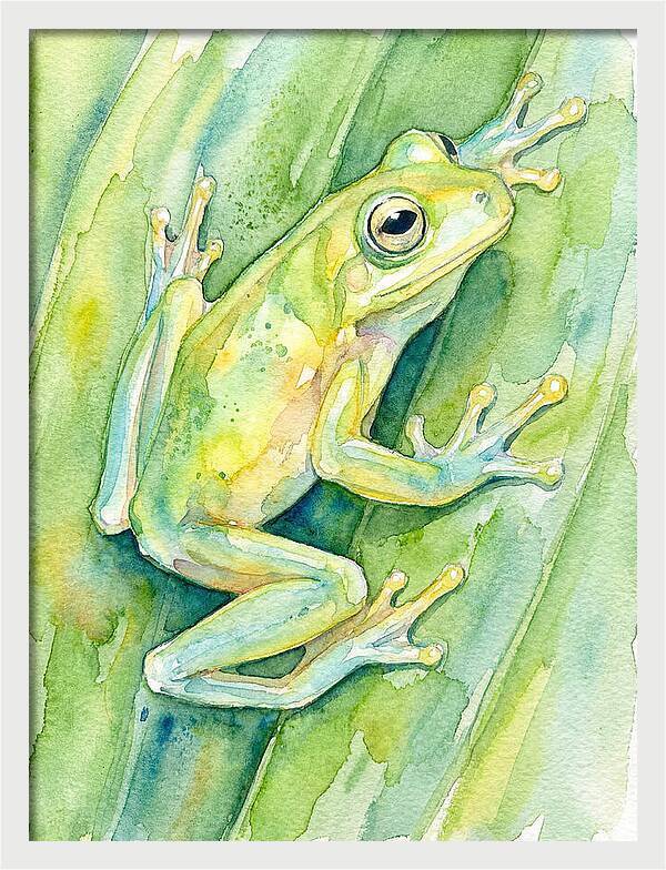 Tree Frog Among Green Leaves