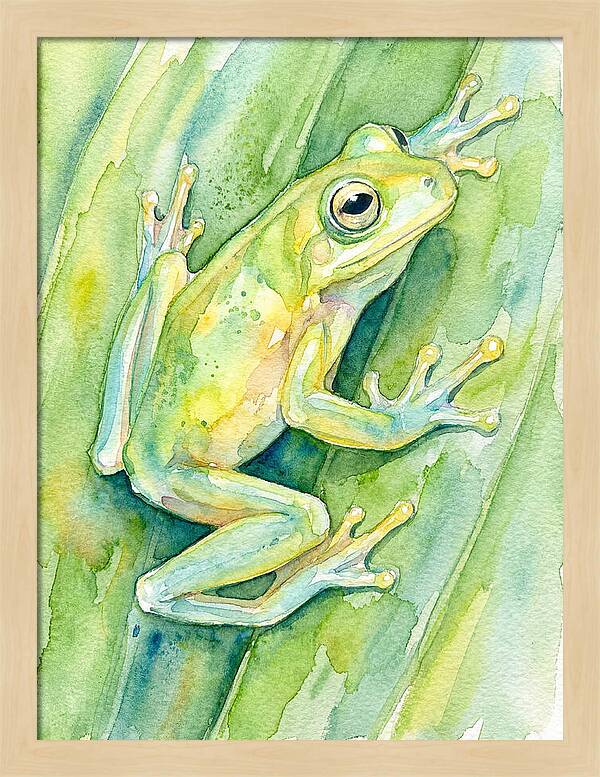 Tree Frog Among Green Leaves