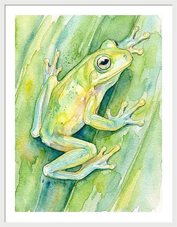 Tree Frog Among Green Leaves