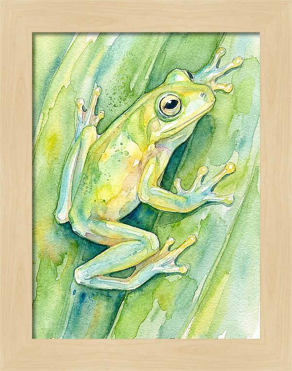 Tree Frog Among Green Leaves