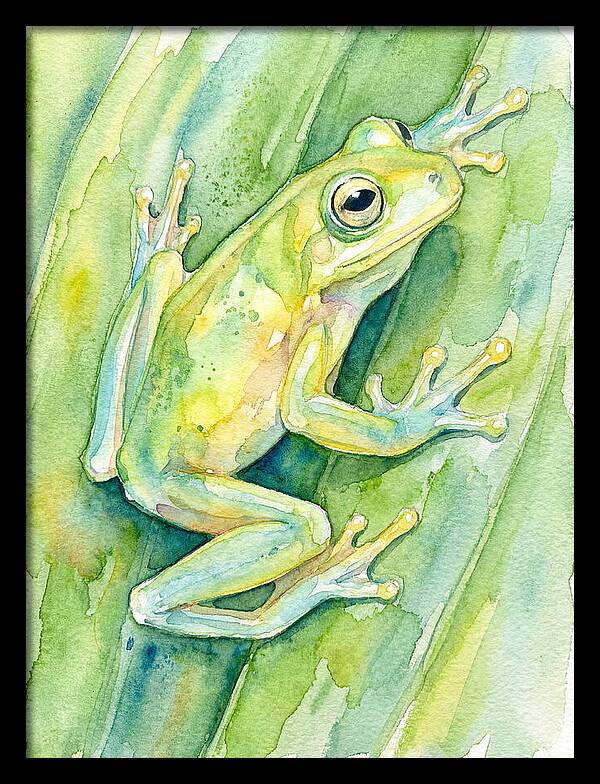 Tree Frog Among Green Leaves
