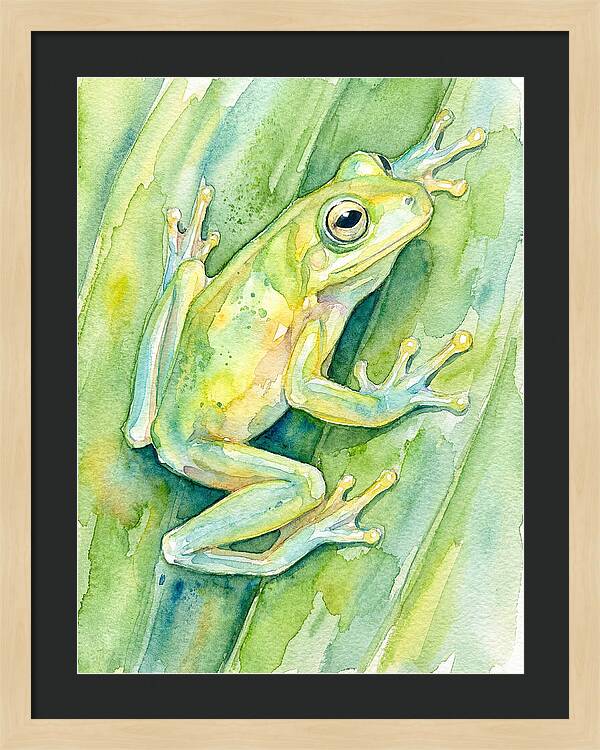 Tree Frog Among Green Leaves