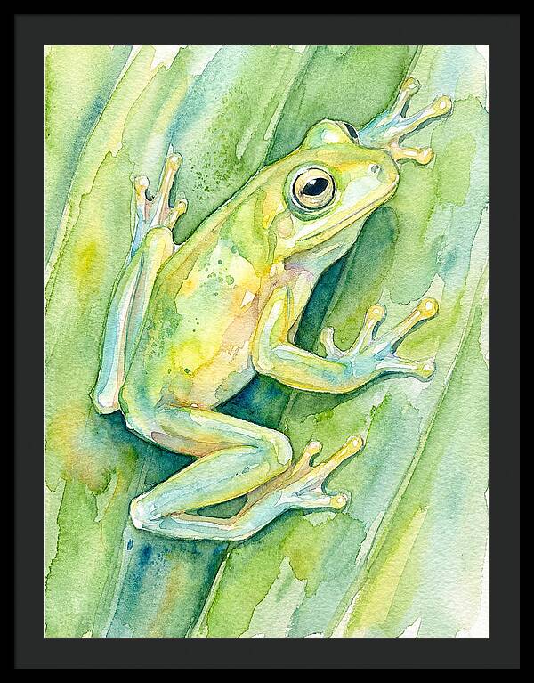 Tree Frog Among Green Leaves