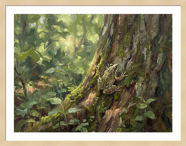 Tree Frog Among Mossy Bark