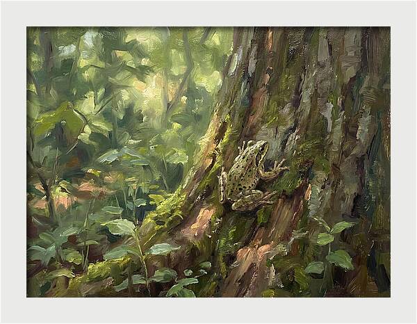 Tree Frog Among Mossy Bark