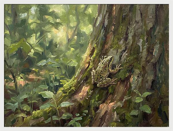 Tree Frog Among Mossy Bark