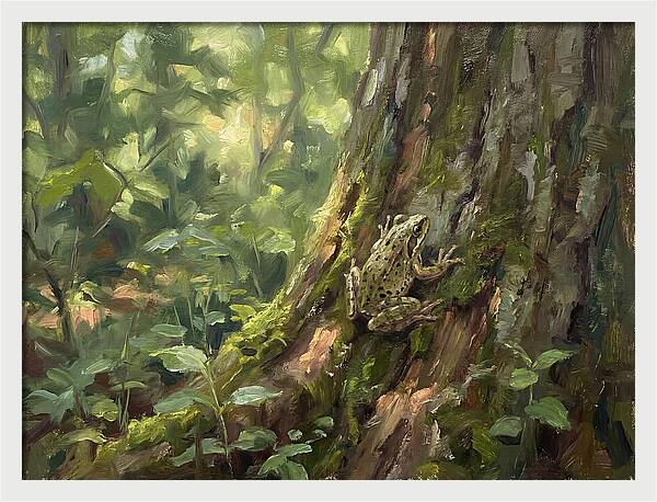 Tree Frog Among Mossy Bark