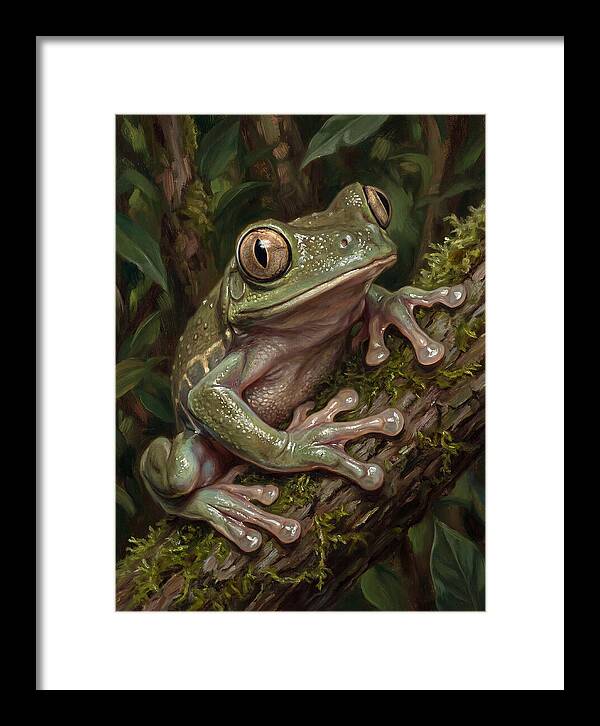 Tree Frog Perched On Branch