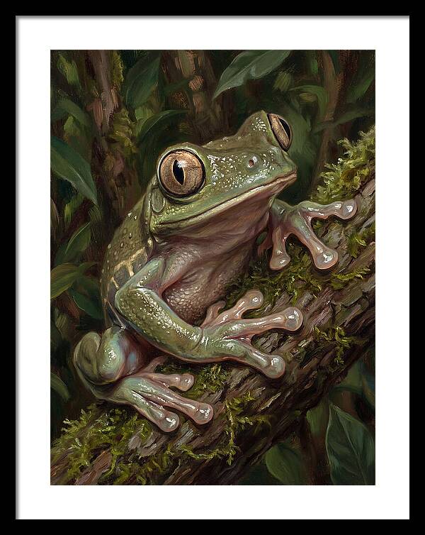 Tree Frog Perched On Branch