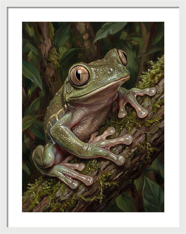 Tree Frog Perched On Branch