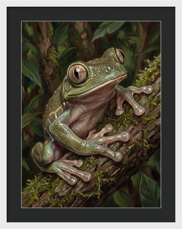 Tree Frog Perched On Branch