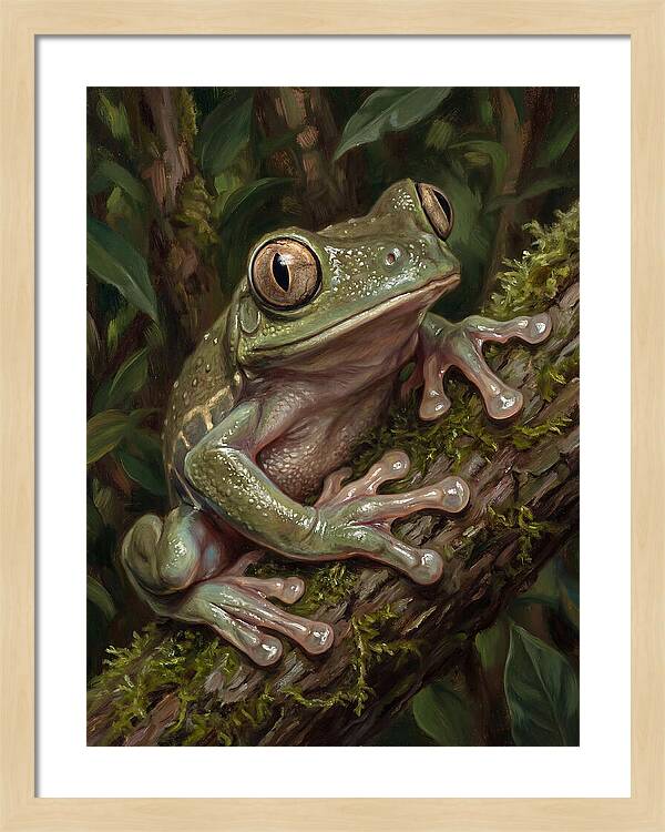 Tree Frog Perched On Branch
