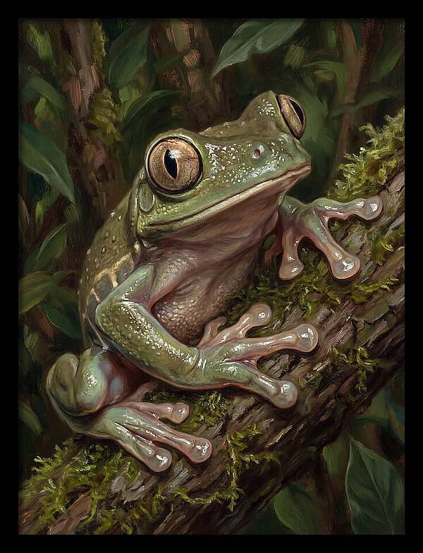 Tree Frog Perched On Branch