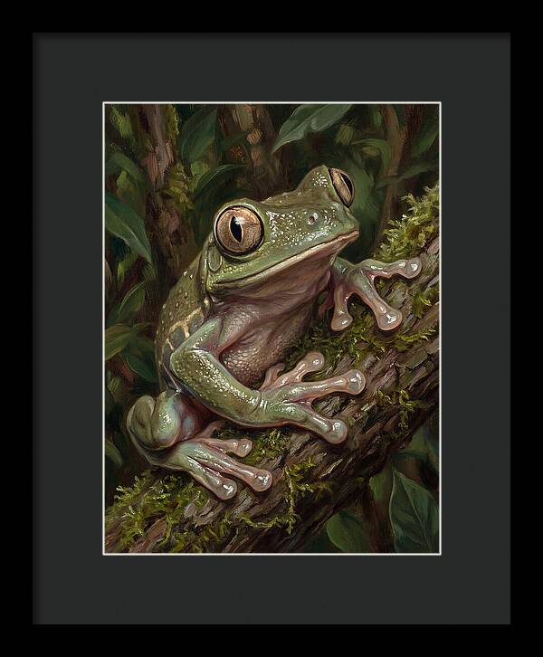 Tree Frog Perched On Branch