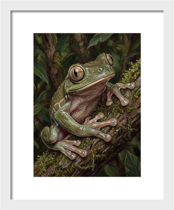 Tree Frog Perched On Branch