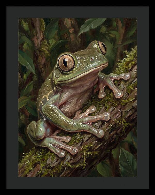 Tree Frog Perched On Branch