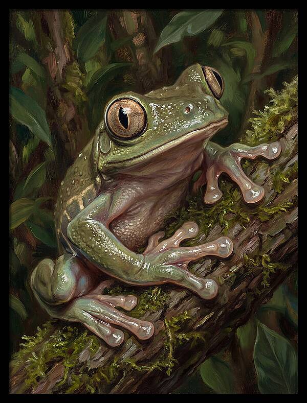 Tree Frog Perched On Branch
